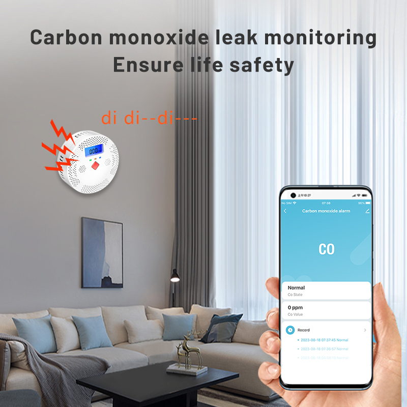 Tuya WiFi Smart Carbon Monoxid - Co Detector Plug review and price