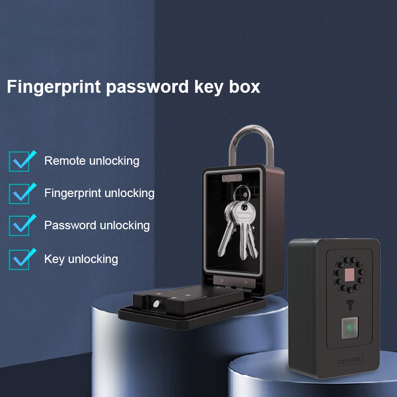 Intelligent Padlock Hang Desig - Lockbox Key Secure review and price