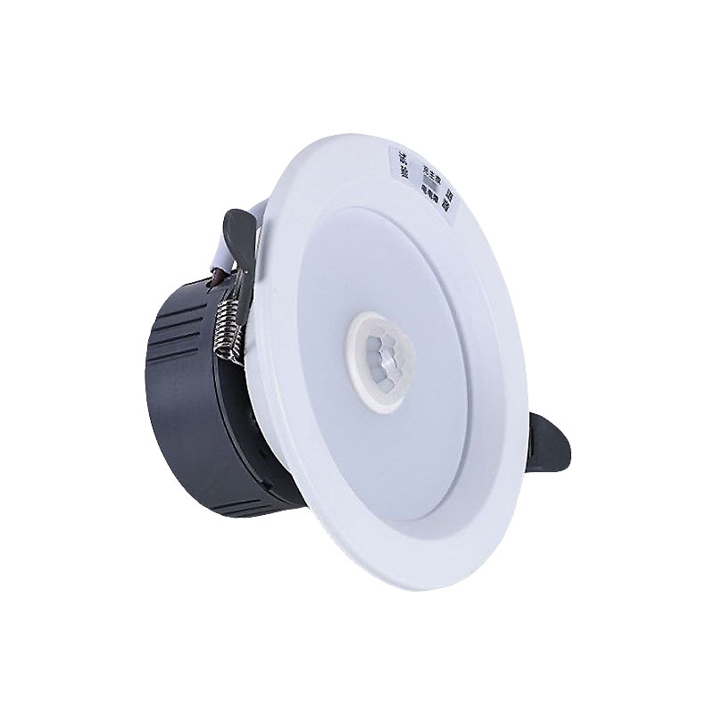 Emergency Lamp Large Emergency - Power Outage Light review and price