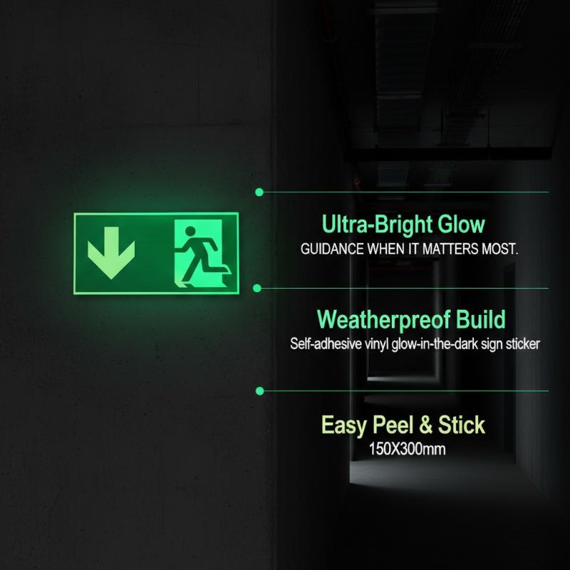 1 Sheet Glow-In-The-Dark Safet - Emergency Exit Sign review and price