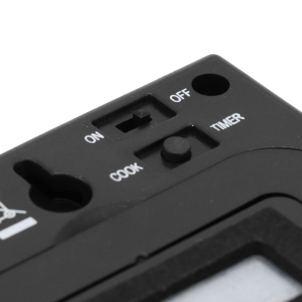 Silver Digital BBQ Meat Thermo - Pool Alarm Float review and price